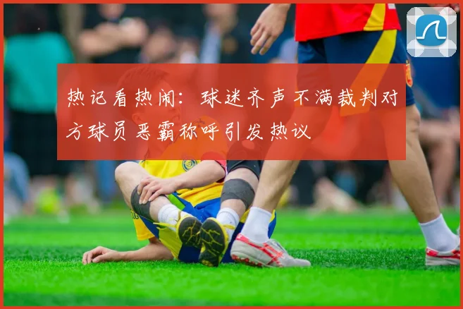 热记看热闹：球迷齐声不满裁判对方球员恶霸称呼引发热议